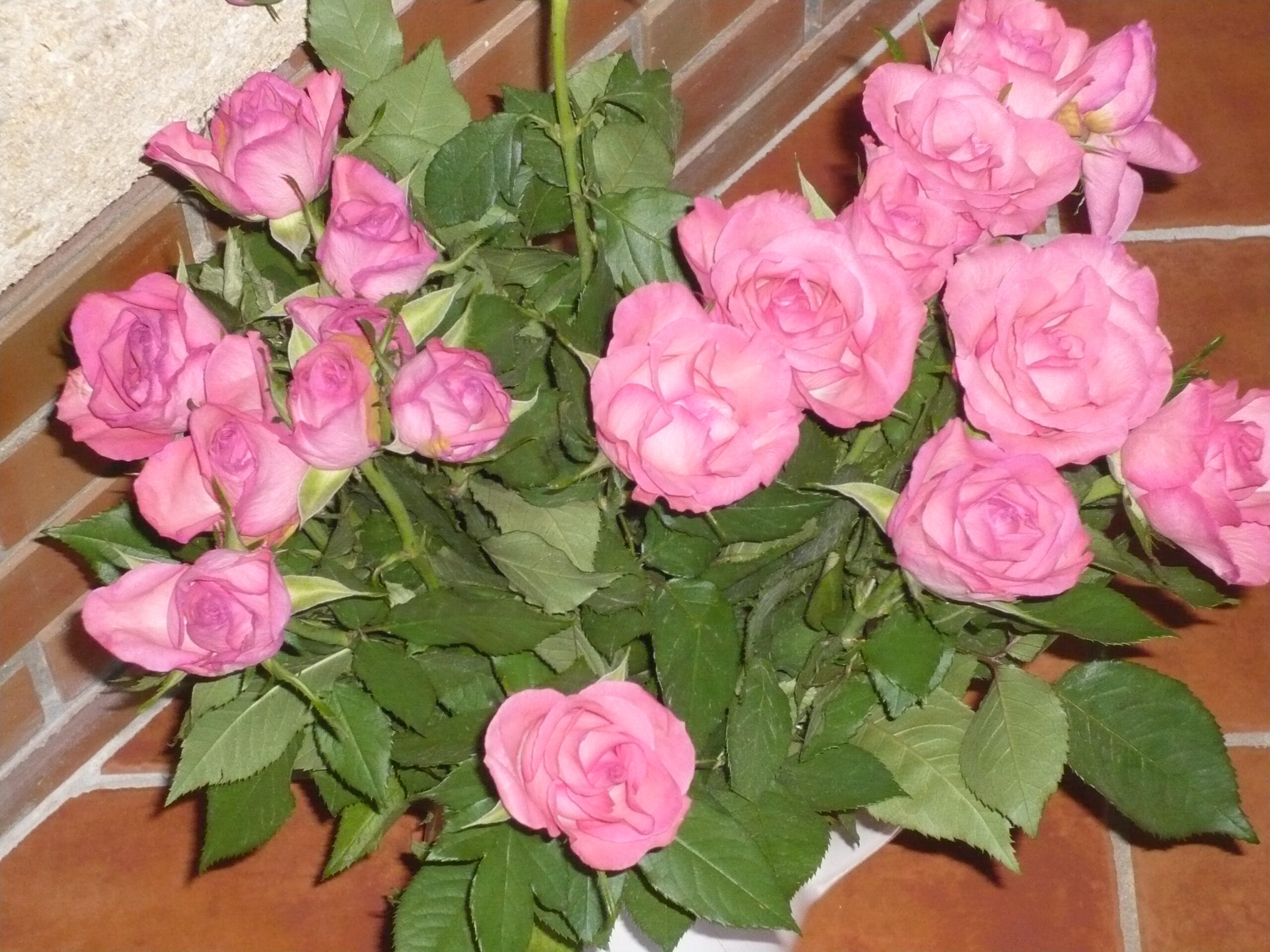 Atelier spécial Périnée