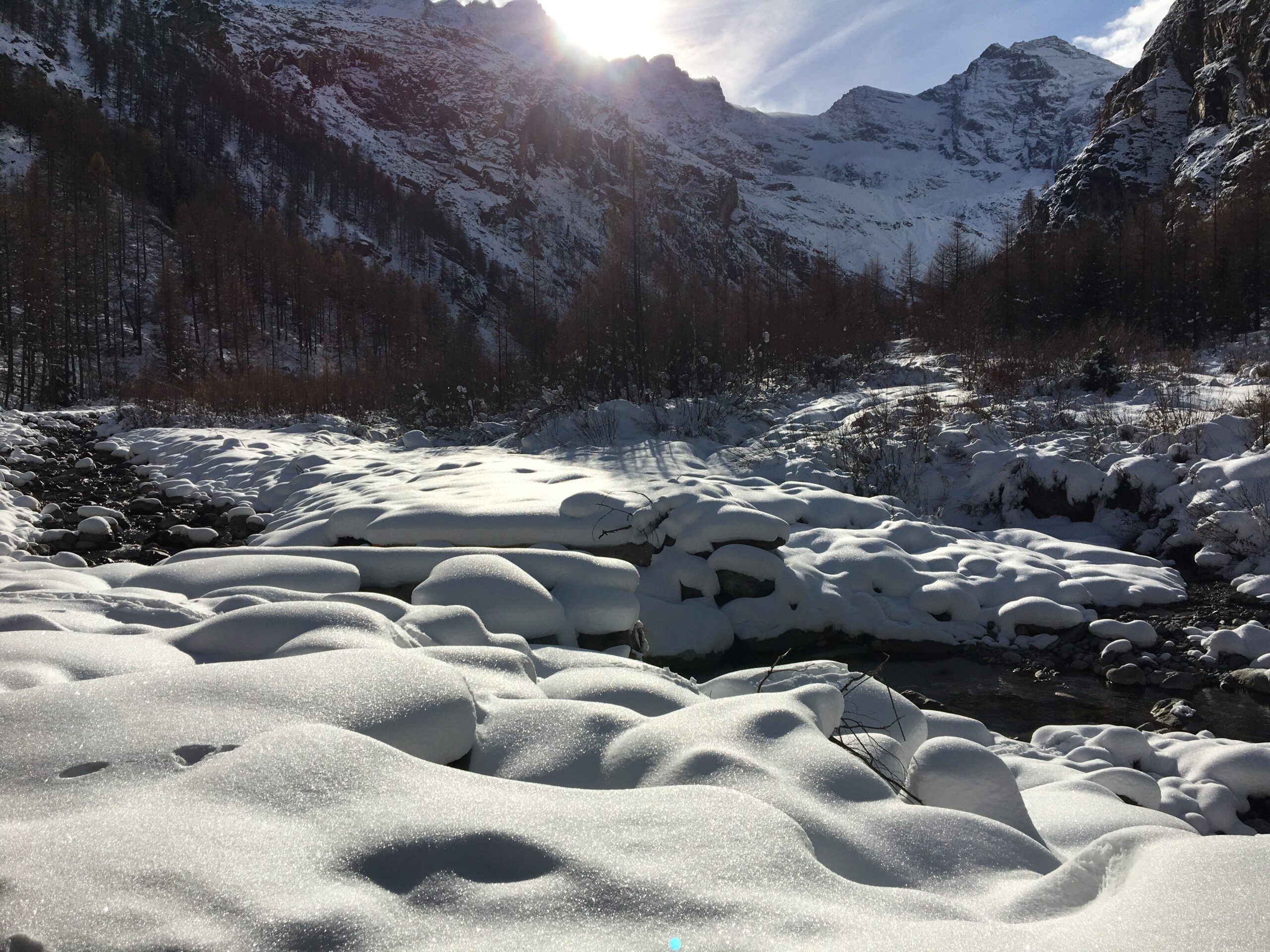 « Mini-Retraite » de Yoga de fin d’Année