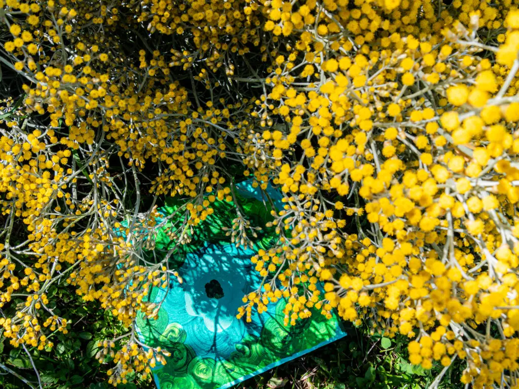 P1355957